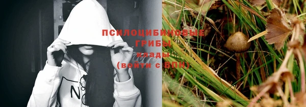 PSILOCYBIN Пестово