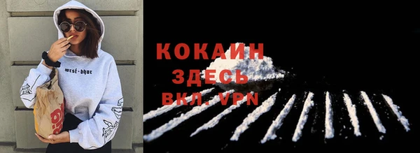 сатива Переславль-Залесский