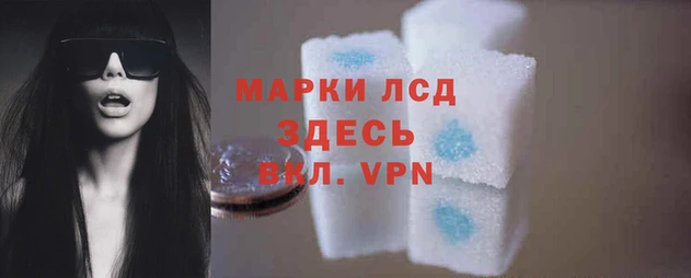 PSILOCYBIN Пестово