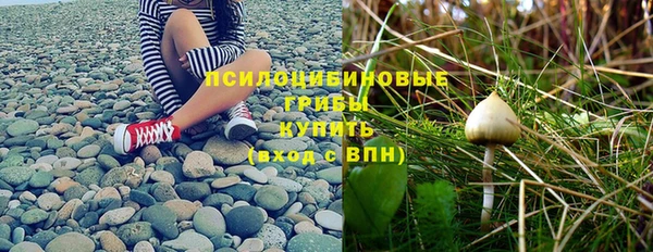 сатива Переславль-Залесский
