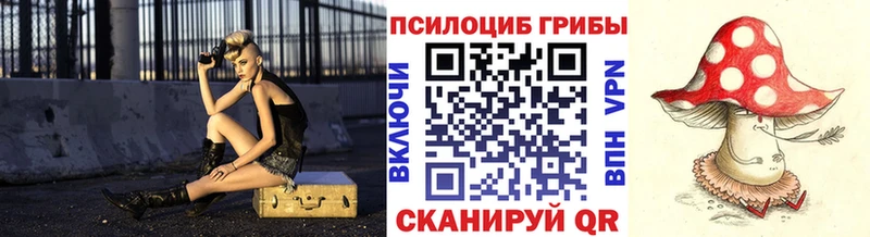 Псилоцибиновые грибы Psilocybine cubensis  OMG как зайти  Свирск 